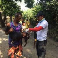 PUNTO MINDORO | Oksi ProVet distributes free anti-rabies vaccines
